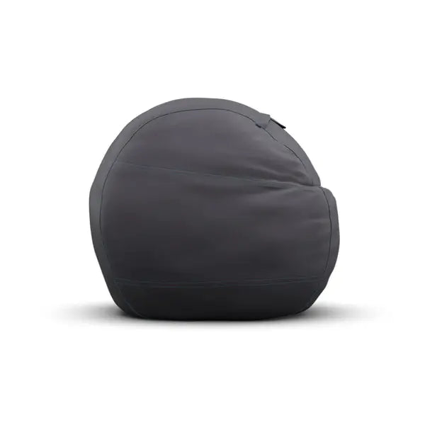 Large sac Insert