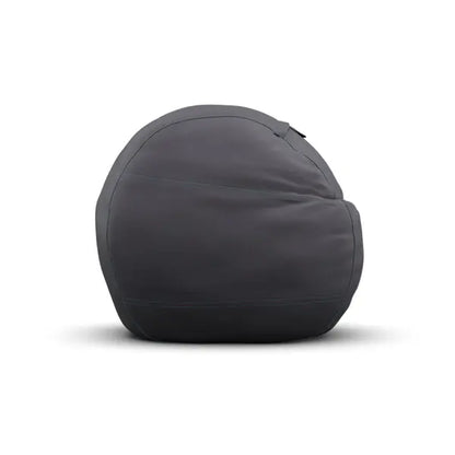 Large sac Insert